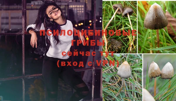 COCAINE Михайловск