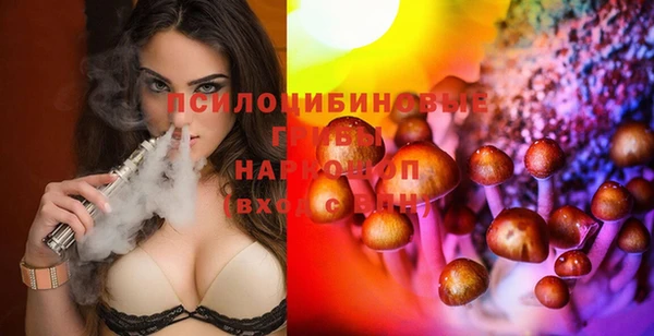 спайс Михайлов