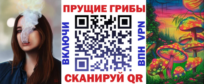 Купить закладки  Малмыж  Псилоцибиновые грибы Psilocybe 
