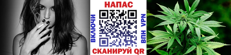 Купить закладки  Малмыж  Канабис план 